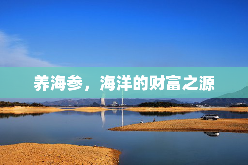 养海参,海洋的财富之源
