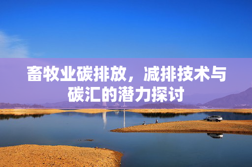 畜牧业碳排放,减排技术与碳汇的潜力探讨