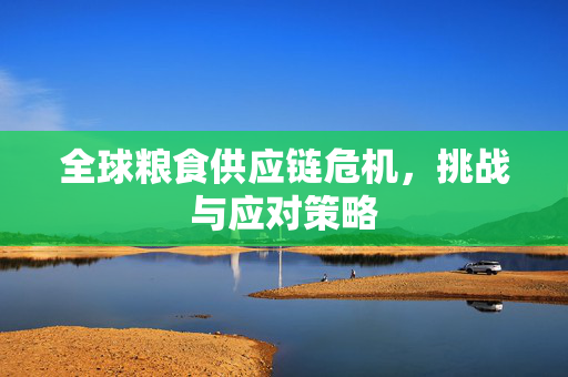 全球粮食供应链危机,挑战与应对策略