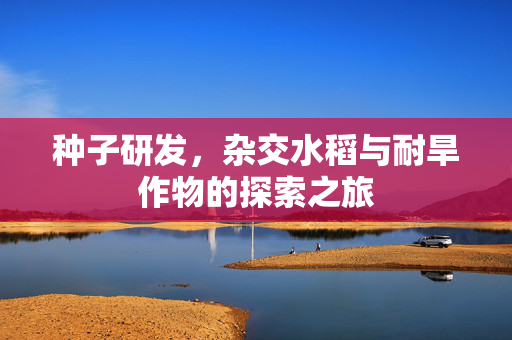 种子研发,杂交水稻与耐旱作物的探索之旅