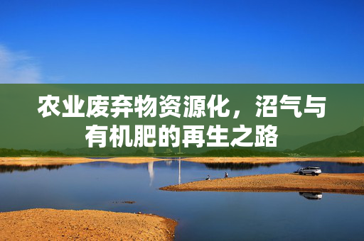 农业废弃物资源化,沼气与有机肥的再生之路