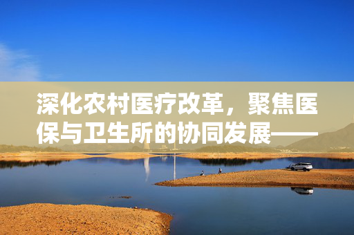 深化农村医疗改革，聚焦医保与卫生所的协同发展——以97现象为视角