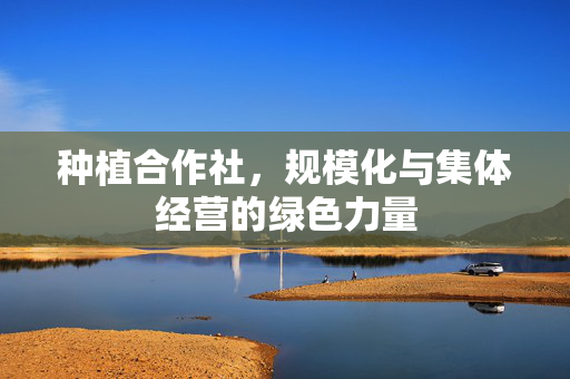 种植合作社,规模化与集体经营的绿色力量