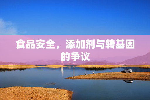 食品安全,添加剂与转基因的争议
