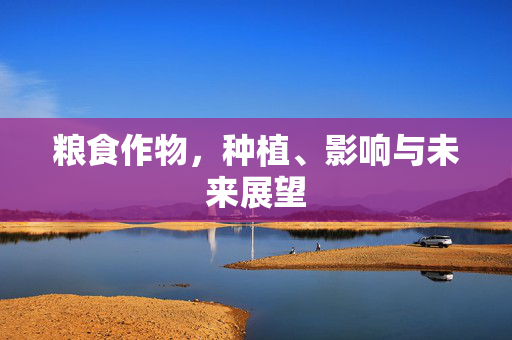 粮食作物,种植、影响与未来展望