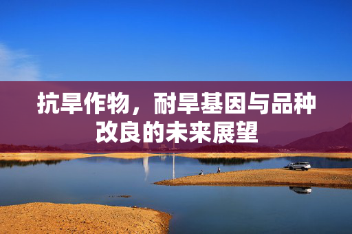 抗旱作物,耐旱基因与品种改良的未来展望