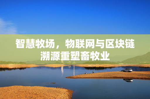 智慧牧场,物联网与区块链溯源重塑畜牧业