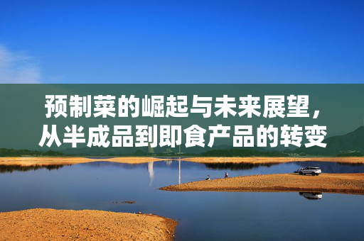 预制菜的崛起与未来展望，从半成品到即食产品的转变与机遇