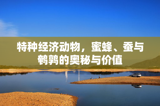 特种经济动物,蜜蜂、蚕与鹌鹑的奥秘与价值