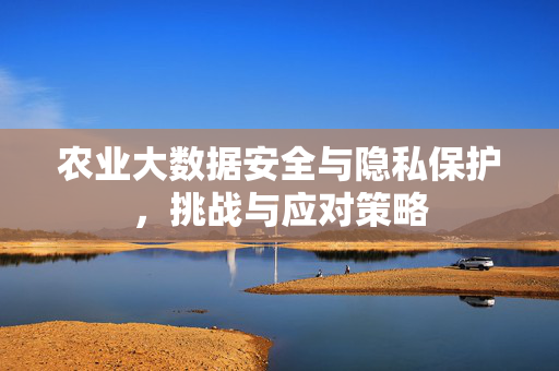 农业大数据安全与隐私保护,挑战与应对策略