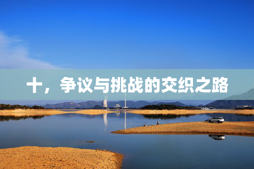 十,争议与挑战的交织之路