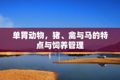 单胃动物,猪、禽与马的特点与饲养管理
