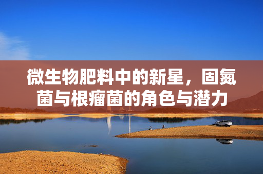 微生物肥料中的新星,固氮菌与根瘤菌的角色与潜力