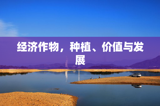 经济作物,种植、价值与发展