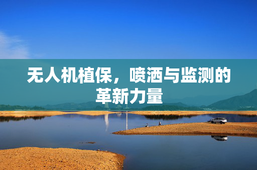 无人机植保,喷洒与监测的革新力量