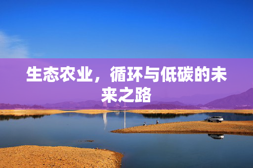 生态农业,循环与低碳的未来之路