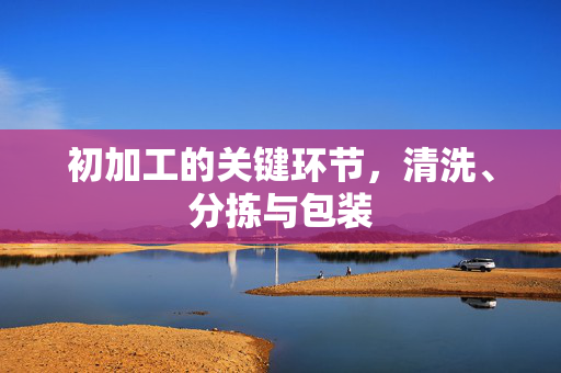 初加工的关键环节，清洗、分拣与包装
