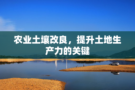 农业土壤改良,提升土地生产力的关键