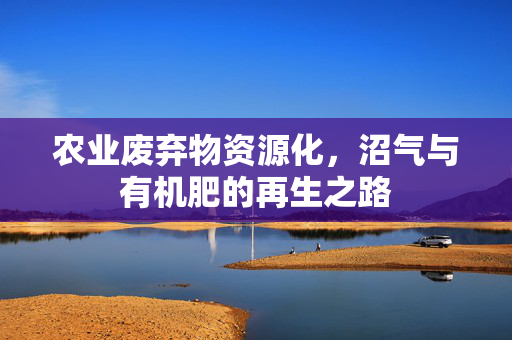 农业废弃物资源化,沼气与有机肥的再生之路