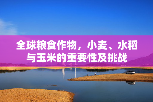 全球粮食作物,小麦、水稻与玉米的重要性及挑战