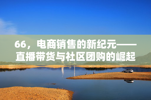 66，电商销售的新纪元——直播带货与社区团购的崛起