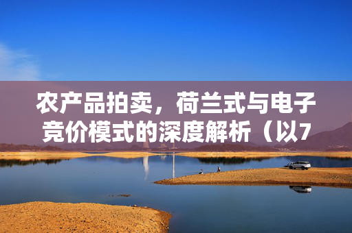 农产品拍卖,荷兰式与电子竞价模式的深度解析(以73为例)
