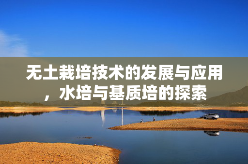 无土栽培技术的发展与应用,水培与基质培的探索