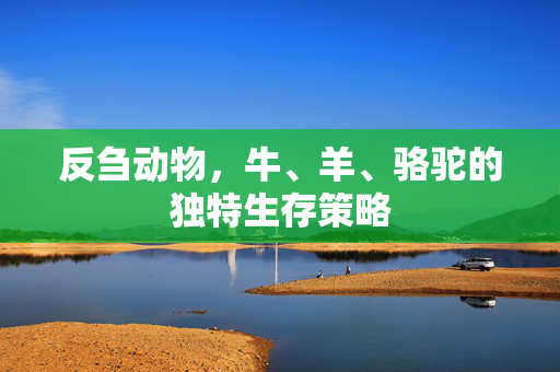 反刍动物,牛、羊、骆驼的独特生存策略