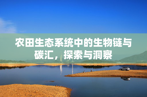 农田生态系统中的生物链与碳汇,探索与洞察