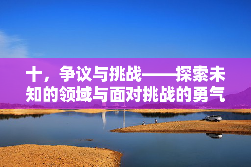 十,争议与挑战——探索未知的领域与面对挑战的勇气