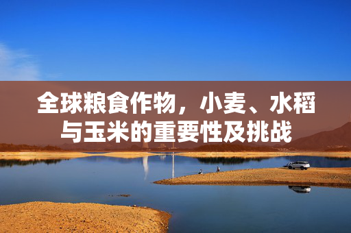 全球粮食作物,小麦、水稻与玉米的重要性及挑战