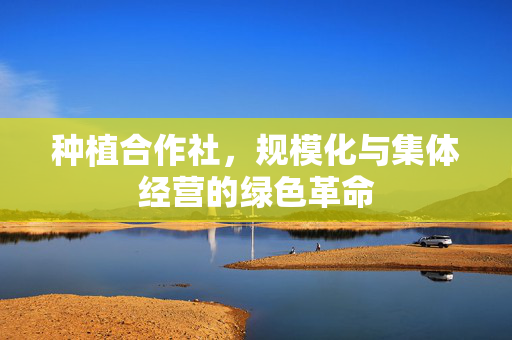 种植合作社,规模化与集体经营的绿色革命