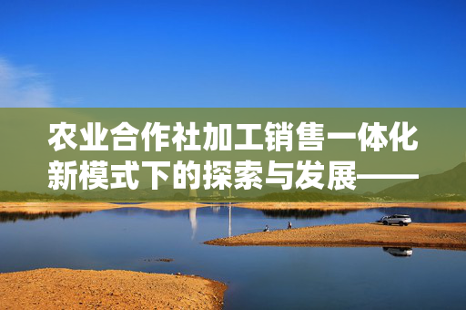 农业合作社加工销售一体化新模式下的探索与发展——以80年代为例