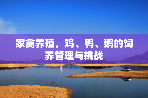家禽养殖,鸡、鸭、鹅的饲养管理与挑战