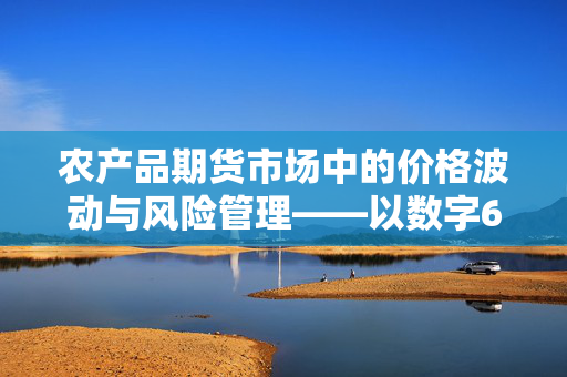 农产品期货市场中的价格波动与风险管理——以数字67为例