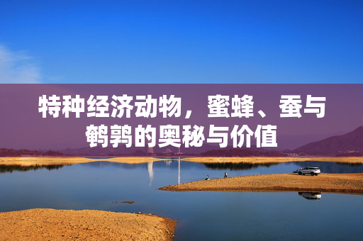 特种经济动物,蜜蜂、蚕与鹌鹑的奥秘与价值