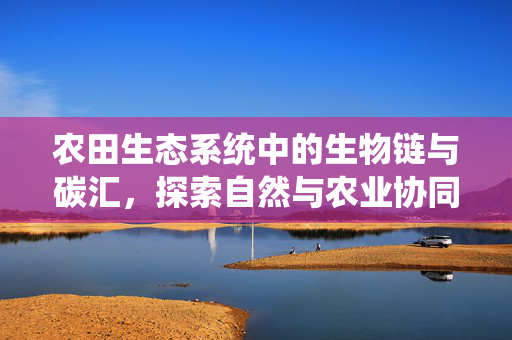 农田生态系统中的生物链与碳汇,探索自然与农业协同发展的奥秘