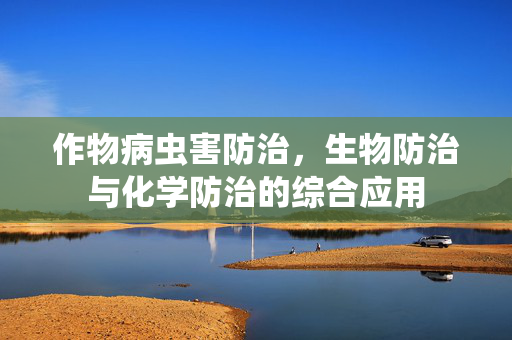 作物病虫害防治,生物防治与化学防治的综合应用