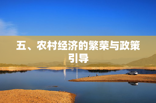 五、农村经济的繁荣与政策引导