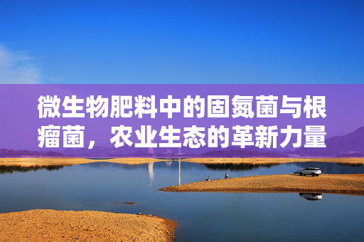 微生物肥料中的固氮菌与根瘤菌,农业生态的革新力量