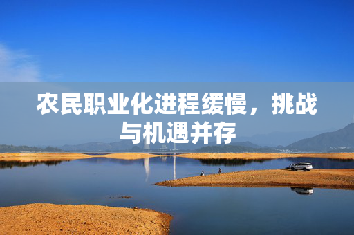 农民职业化进程缓慢，挑战与机遇并存
