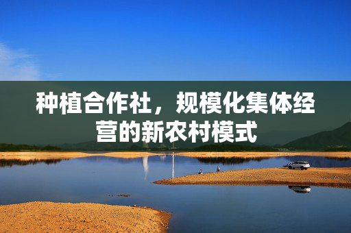 种植合作社，规模化集体经营的新农村模式