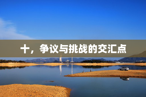 十，争议与挑战的交汇点