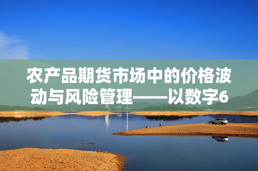 农产品期货市场中的价格波动与风险管理——以数字67为例