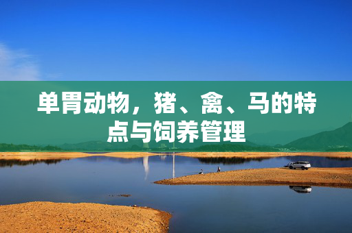 单胃动物,猪、禽、马的特点与饲养管理