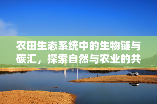 农田生态系统中的生物链与碳汇,探索自然与农业的共生关系