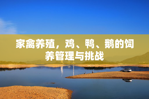 家禽养殖,鸡、鸭、鹅的饲养管理与挑战