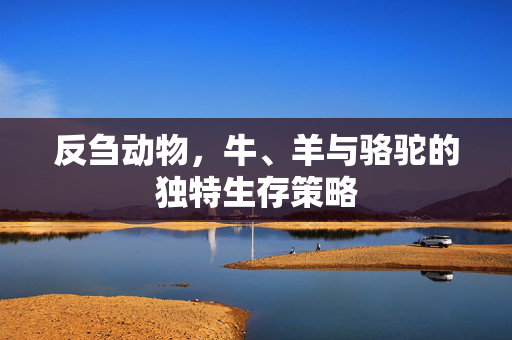 反刍动物,牛、羊与骆驼的独特生存策略