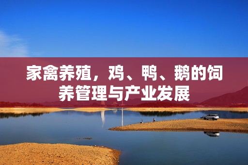 家禽养殖,鸡、鸭、鹅的饲养管理与产业发展