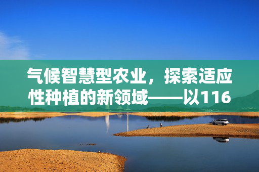 气候智慧型农业,探索适应性种植的新领域——以116模式为例